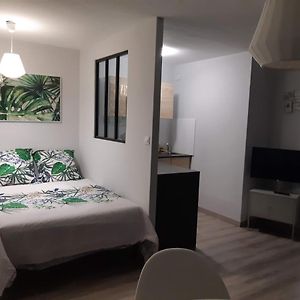 Appartement met een Slaapkamer